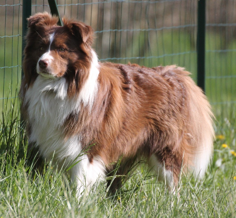 Happy spirit red label skater des Rives du Lagon Bleu