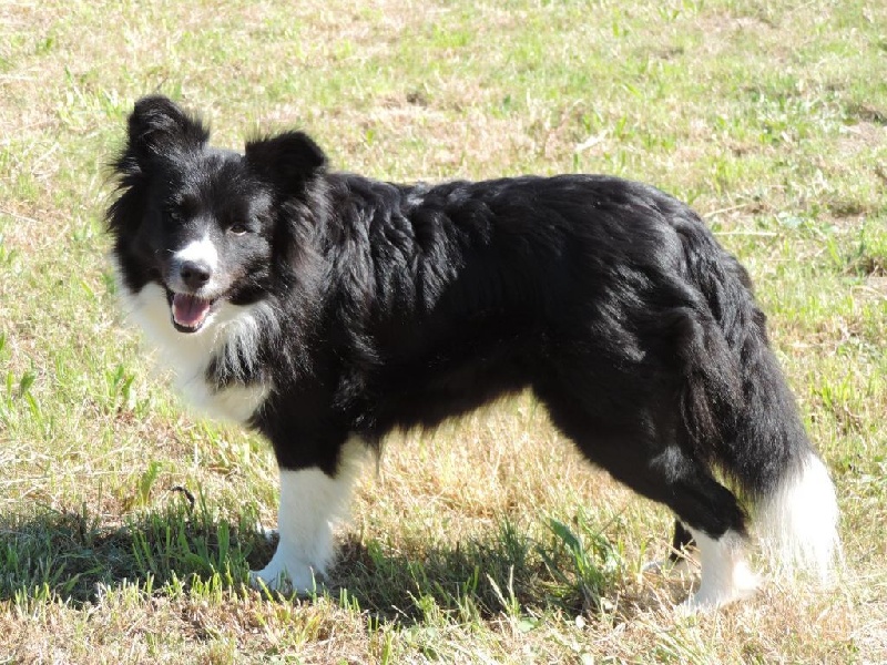 Happy spirit in the wind little smile des Rives du Lagon Bleu