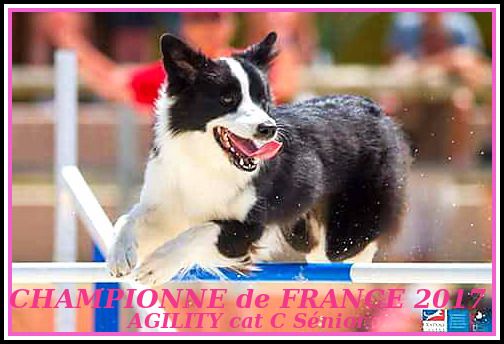 CH. Journey to chocabloc des Rives du Lagon Bleu