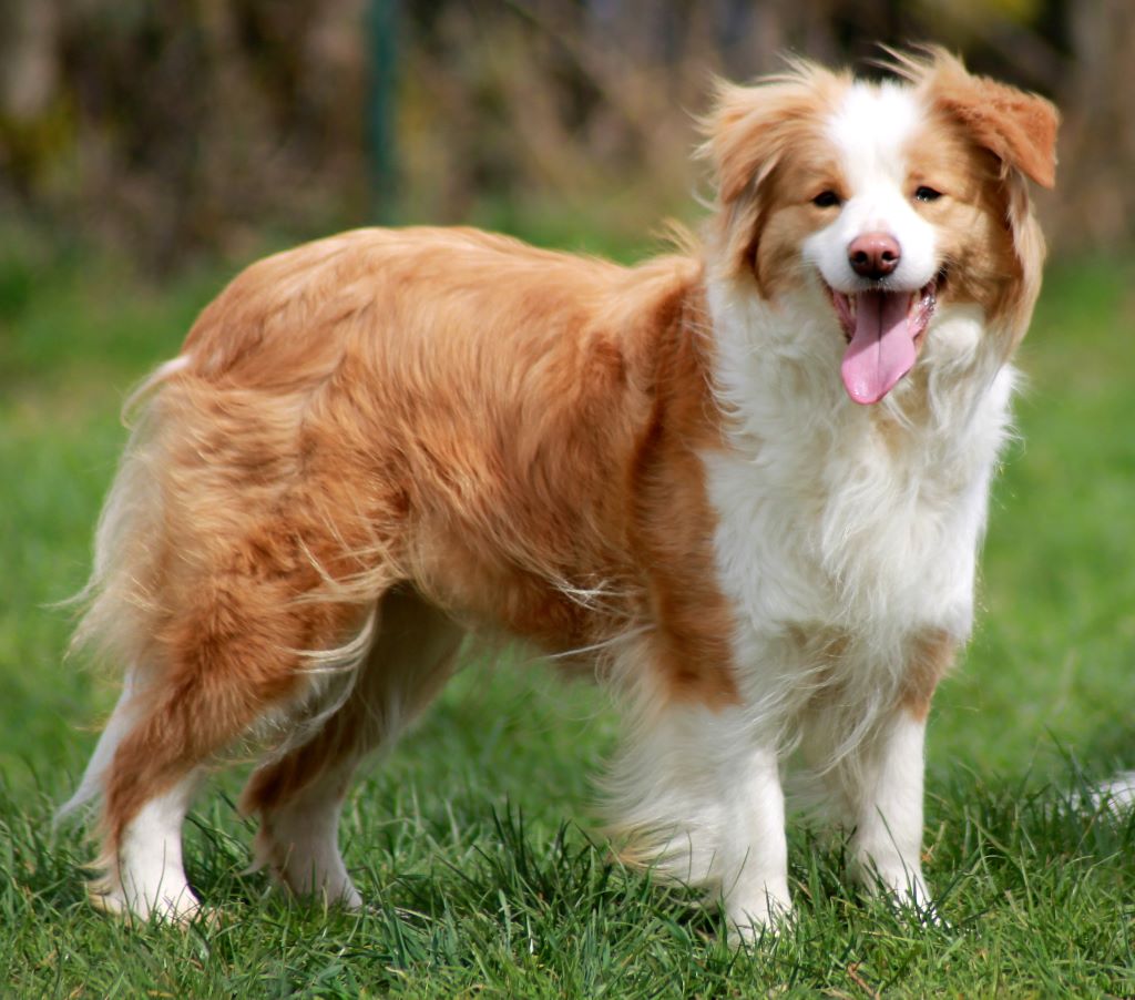 J'adore dior des Rives du Lagon Bleu