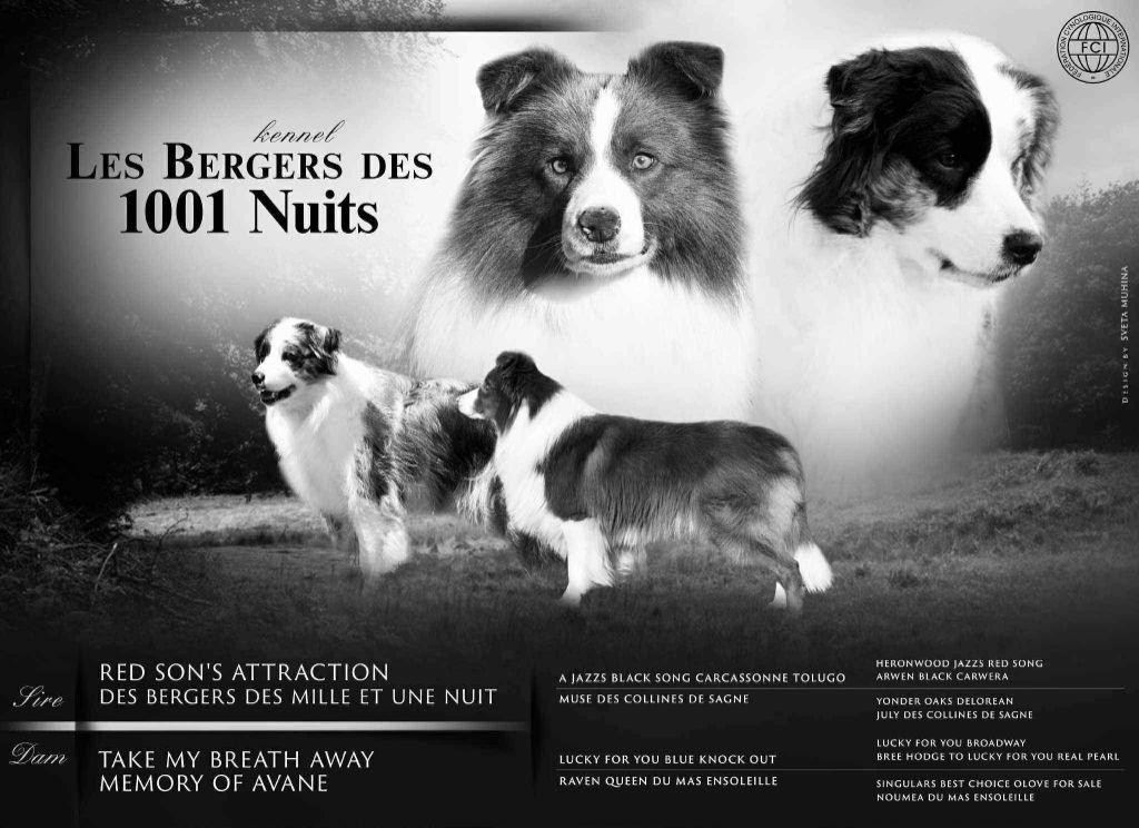 NOUVELLE NICHEE 2025